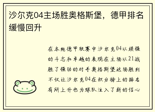 沙尔克04主场胜奥格斯堡，德甲排名缓慢回升