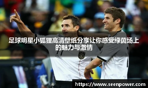 足球明星小狐狸高清壁纸分享让你感受绿茵场上的魅力与激情